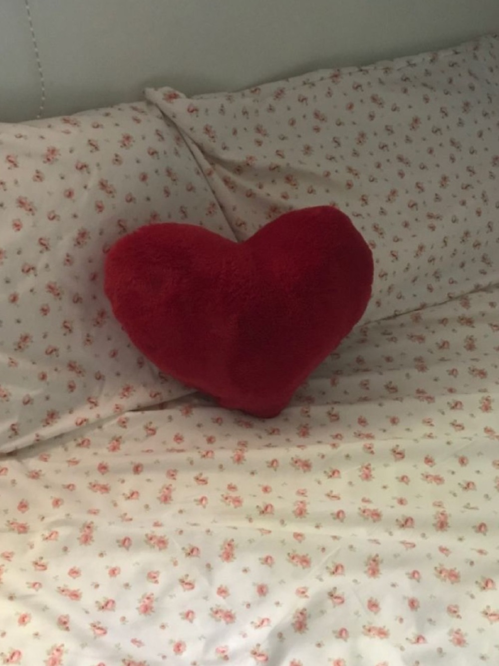 Heart-Shaped Plush Accent Pillow in Red